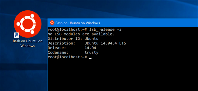 cai-linux-bash-shell-tren-windows-10
